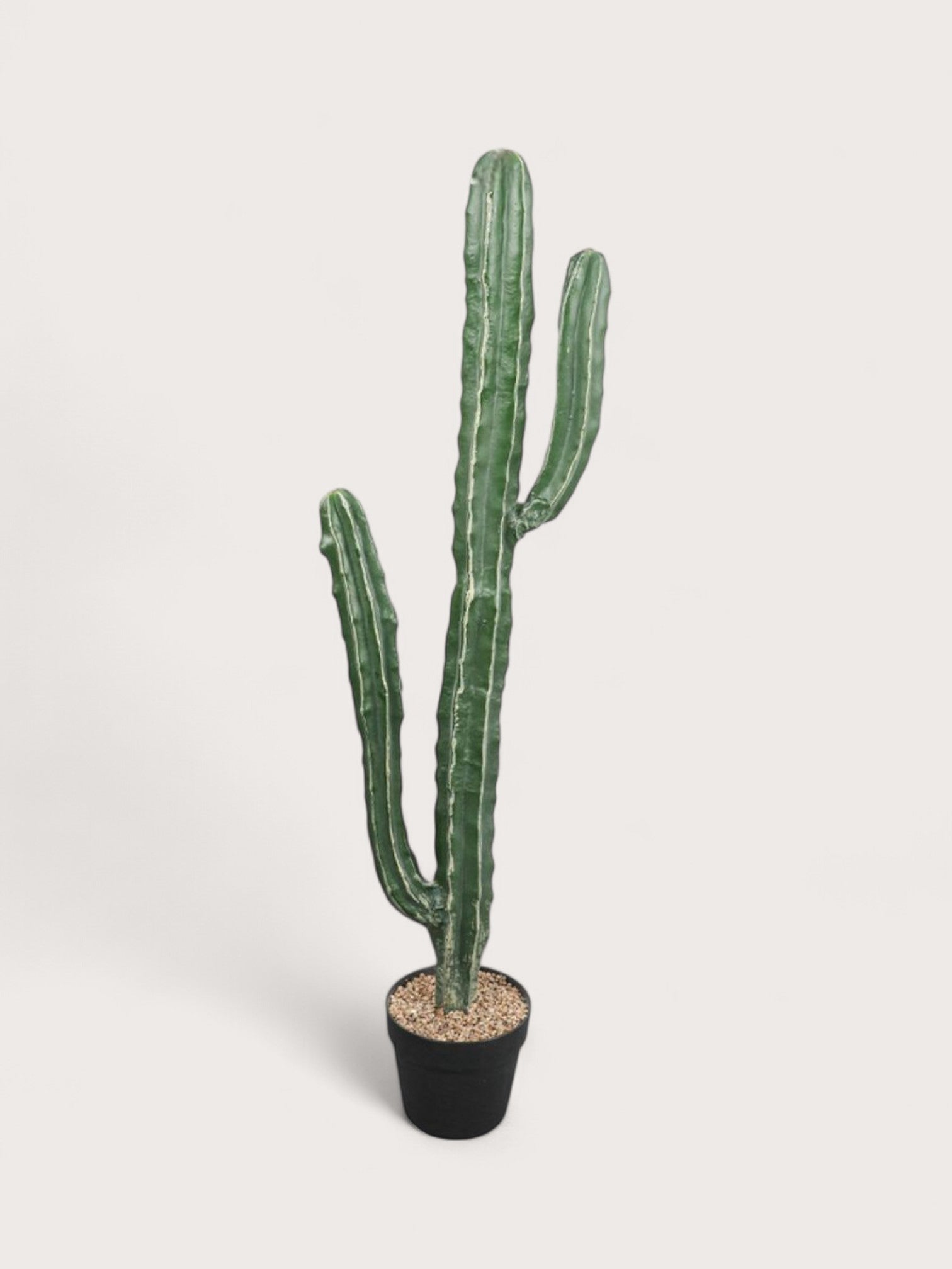 Cacti | Kunst cactus