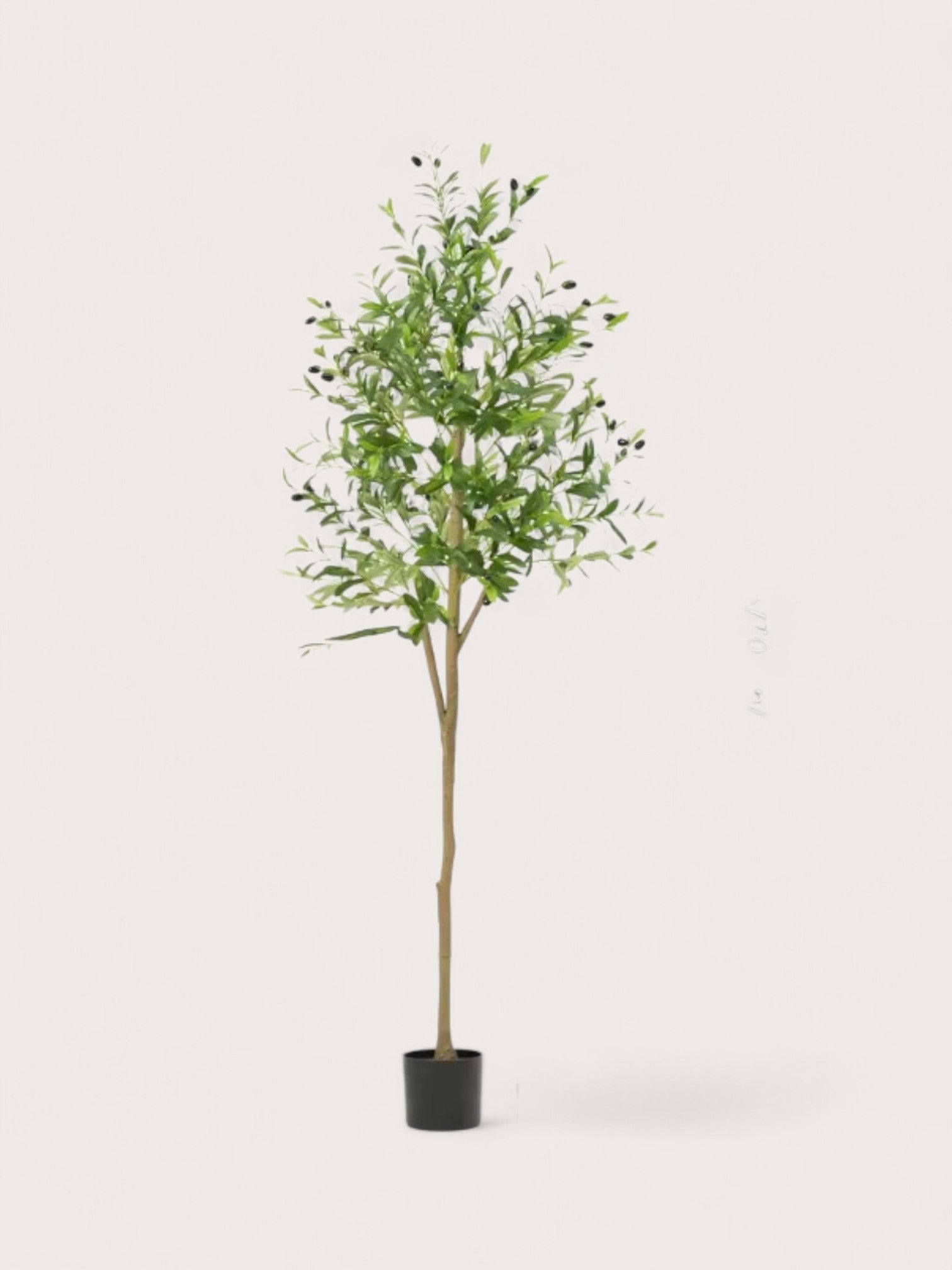 Olea | kunst olijfboom 180cm