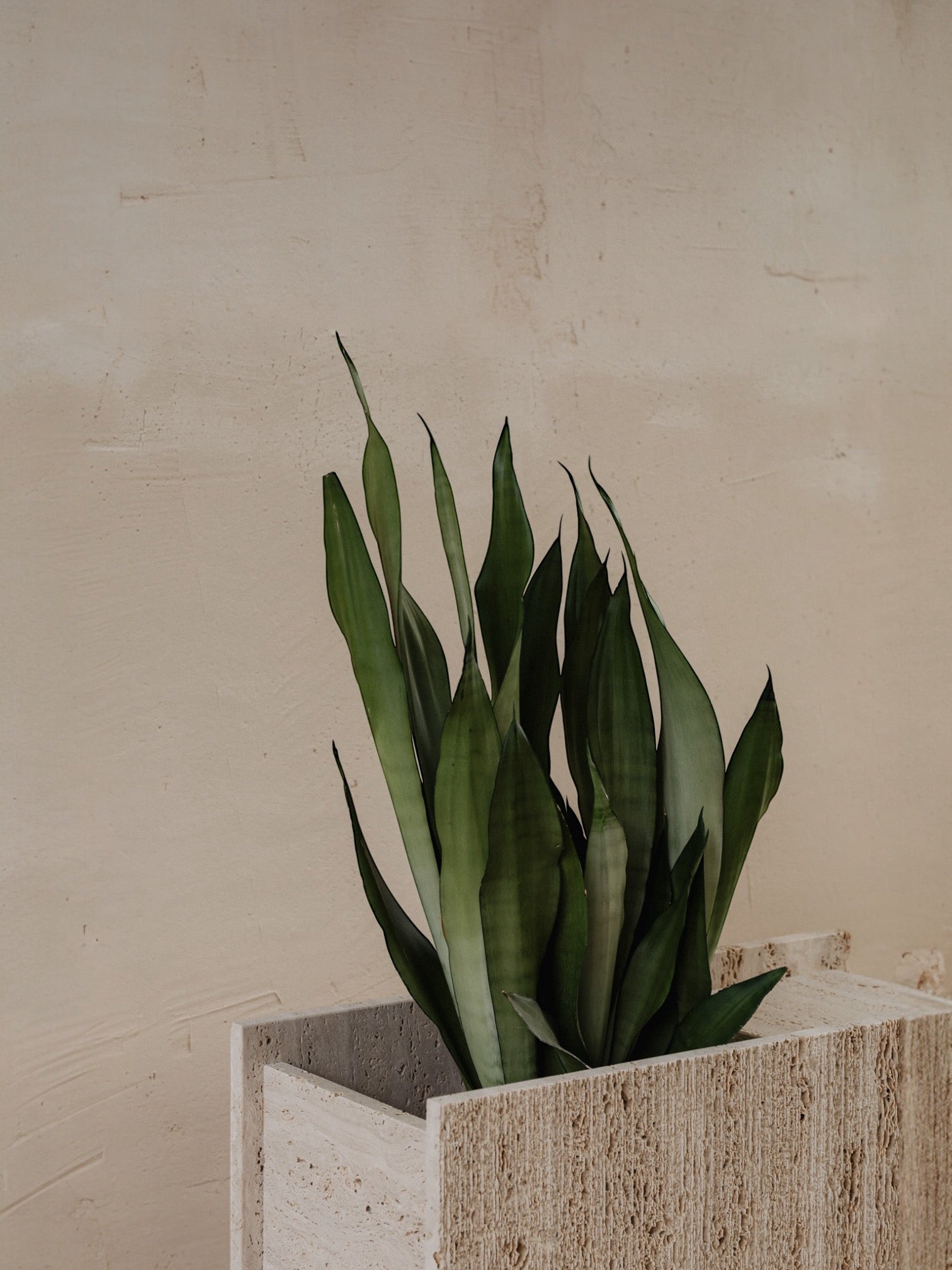 Lido | Travertine planter