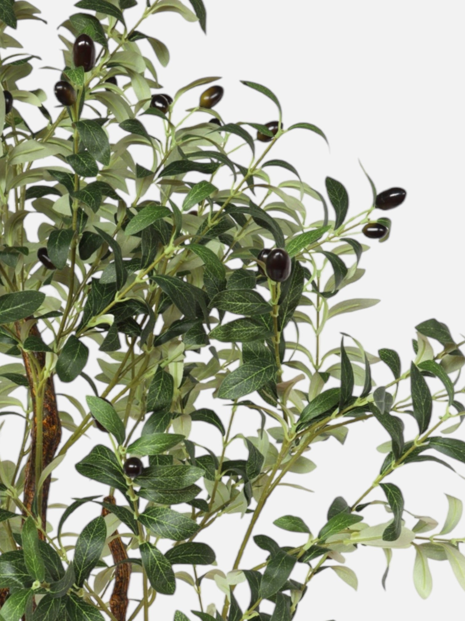 Maza | artificial olive tree 150cm